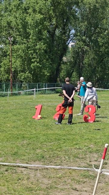 РАБОЧИЙ КОБЕЛИ / КЧК КРАСНОЯРСК 7 июня`26 В.Федоров Моно немецких овчарок