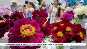 Выставка «Пиономания» организовал клуб садоводов-опытников имени Августа Томсона в Иркутске