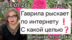 1 часть. Гаврила рыскает по интернету❗️С какой целью❓️