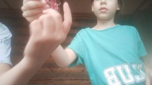 VID20260706191111.mp4