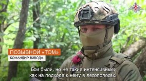 Подробности освобождения населённого пункта Лесное в Запорожской области
