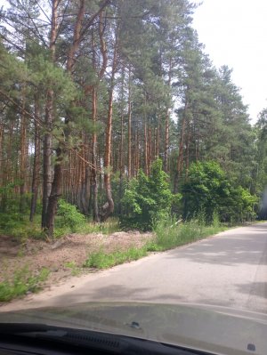 отдых