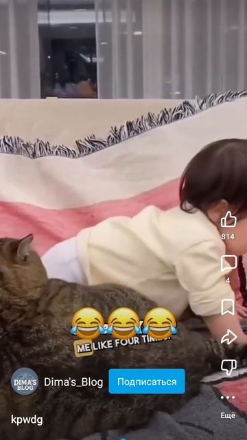 хаха смотреть онлайн