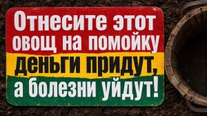 Гарантирую! Этот овощ – враг достатка. Немедленно вынесите на помойку! Денежные ритуалы и приметы