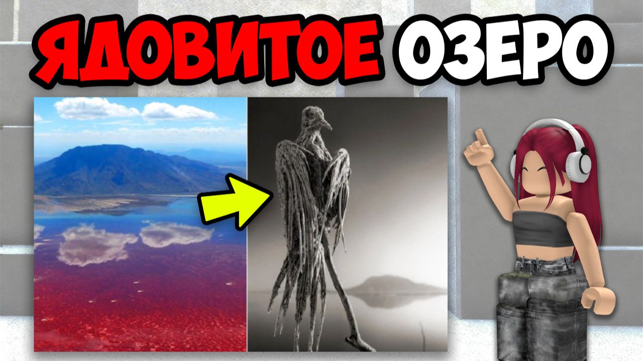 15 САМЫХ ОПАСНЫХ МЕСТ В МИРЕ смотреть онлайн