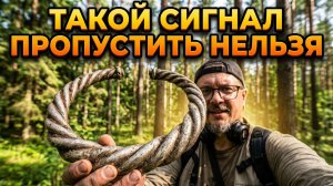 ТАКОЙ СИГНАЛ ПРОХОДИТЬ НЕЛЬЗЯ ! ЛЕТО! ПРЕТ С НАХОДКАМИ!