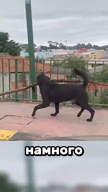 факт смотреть онлайн
