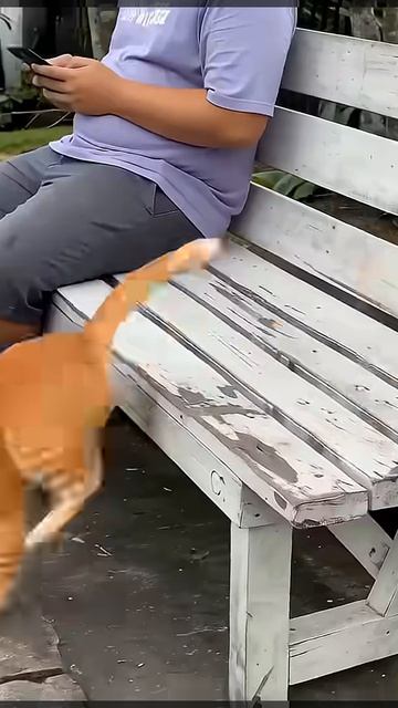 О'Нилу нечего делать.