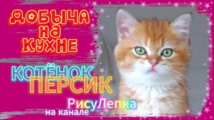 КОТЁНОК ПЕРСИК добыча на кухне