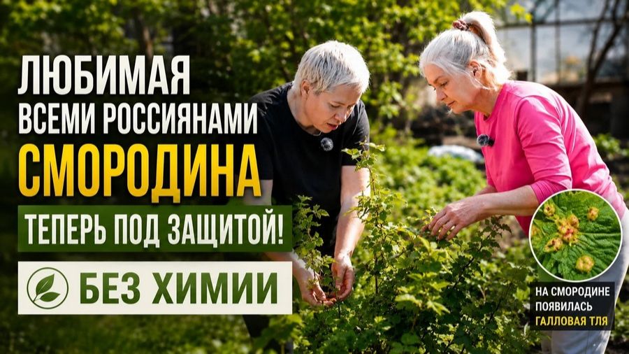 В гостях у Храмушиной