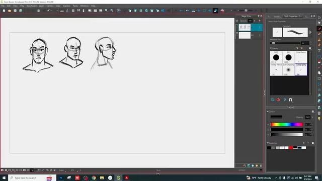 01 Course Overview + Basic Anatomy