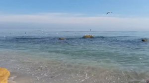 Восход над морем (песня)
