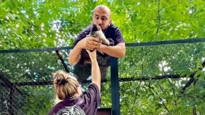 Финик НАС ВСЕХ ПЕРЕПУГАЛ: он решил, что уже взрослый, и ПРОСТО УБЕЖАЛ!