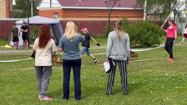 МОЛОДЫЕ СУКИ ДШ / КЧК ВОЛОГДА 4 июля`26 Е.Близнецова Моно немецких овчарок