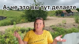 Как репутация работает на меня Как я завралась и выпросила донат