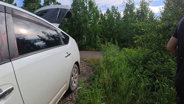 Заносим вещи.