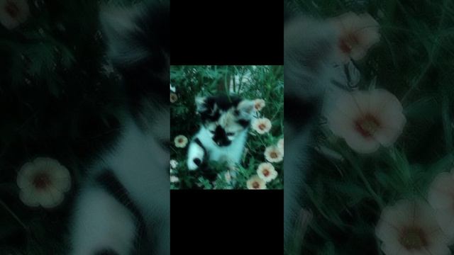 Музыка для уборки/Вайбовая музыка/Песни чтобы танцевать смотреть онлайн