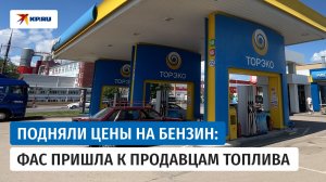 ФАС возбудила дела и выдала предписания продавцам топлива в трёх регионах