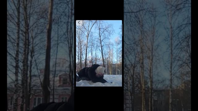дикие коты