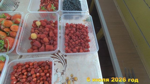 Дача Лето 2026 год. Июнь, Июль, Август