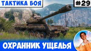Стал Охраннником Ущелья | Тактика боя №29