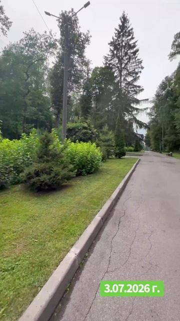 Тульские прогулки 2026-07-06 И говорим: «Какие же мы красивые люди В этом красивейшем месте».