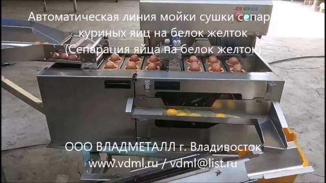 ВЛАДМЕТАЛЛ осуществил поставку линии мойки сушки сепарации куриных яиц на белок желток в г. Кемерово
