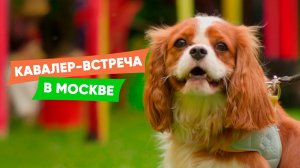 Кавалер-Встреча в Москве