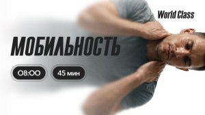 МОБИЛЬНОСТЬ с Альбертом Даниловым | 8 июля 2026 | Онлайн-тренировки World Class