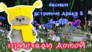 Миша устроил драку в лагере и их выгнали из лагеря 🏕️ 😳басики басик лагерь влог