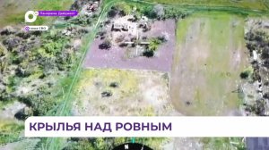 Группировка войск «Восток» освободила населённый пункт Ровное