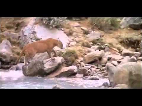 Борьба за жизнь.mp4 смотреть онлайн