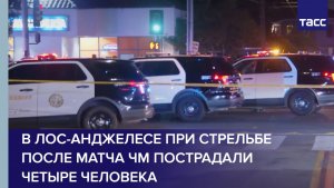 В Лос-Анджелесе при стрельбе после матча ЧМ пострадали четыре человека