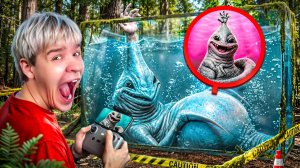 ДРОН СНЯЛ HAND SEA MONSTER РОДИЛ РЕБЁНКА