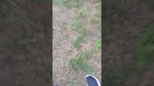 Гуляем с друзьями!