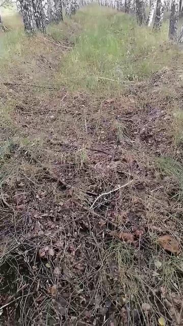 Мои события