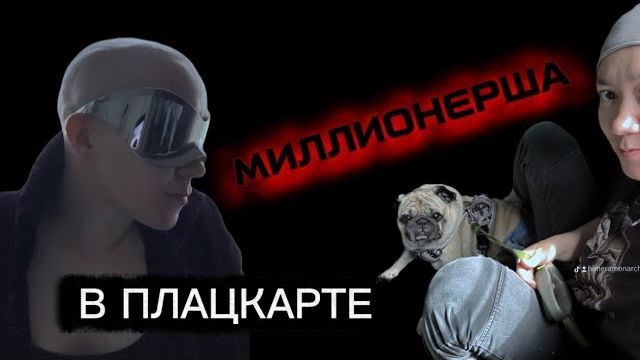 В плацкарте после 9 лет мультимиллионерства | инсайты