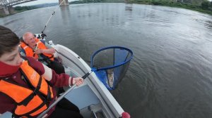 Троллинг на Оке. Рабочие воблеры. Отличный выезд на рыбалку!