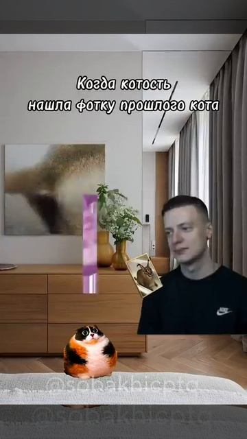 Котость