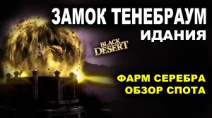 💰 ФАРМ СЕРЕБРА в ЗАМКЕ ТЕНЕБРАУМ. 2,2ккк итемами с Агрис в Идании БДО (BDO - Black Desert)