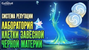 Лаборатория клетки завесной чёрной материи — Система подношений 🎁 Квест Под лунным морем Геншин 6.7