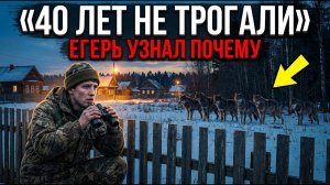Волки не трогали одну деревню 40 лет. Новый егерь выяснил причину — и пожалел…