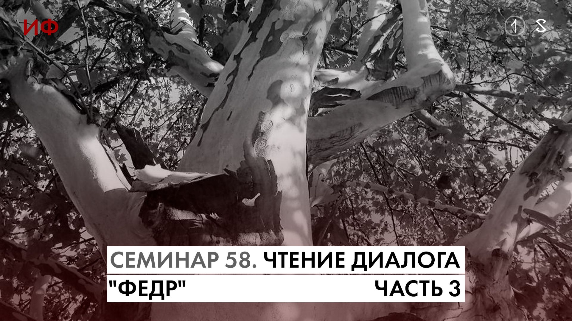 58. Третье чтение диалога Платона "Федр". История Философии. Часть 1