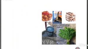 Я похавал сытный плов