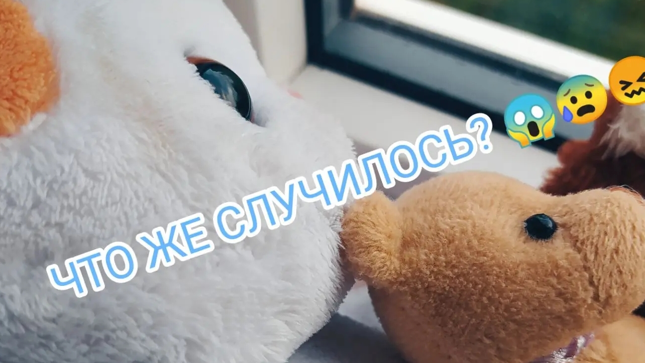 ЧТО ЖЕ СЛУЧИЛОСЬ?😱