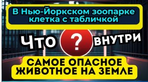 Тест на Эрудицию, Который Удивит Тебя! Только 5% Ответят на всё !