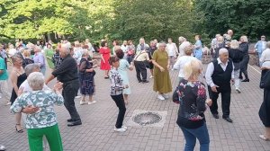 Белые ромашки...... 05.07.26 Гомель парк Луначарского 🥰💫