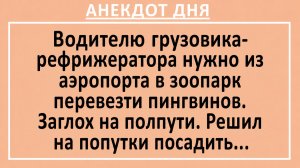 Водителю грузовика нужно из аэропорта в зоопарк перевезти пингвинов... | Анекдоты смешные | Юмор
