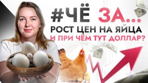 🔴ЧёЗА… Куриные ЯЙЦА дорожают — первый звоночек к... Что нас ждет дальше и причем тут ДОЛЛАР?