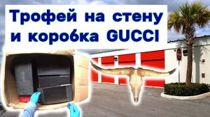 АУКЦИОН КОНТЕЙНЕРОВ В США / Трофей на стену и коробка GUCCI. Находки в брошенном контейнере.